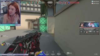 Live Preview